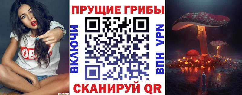 МЕГА tor  Петров Вал  Галлюциногенные грибы ЛСД 